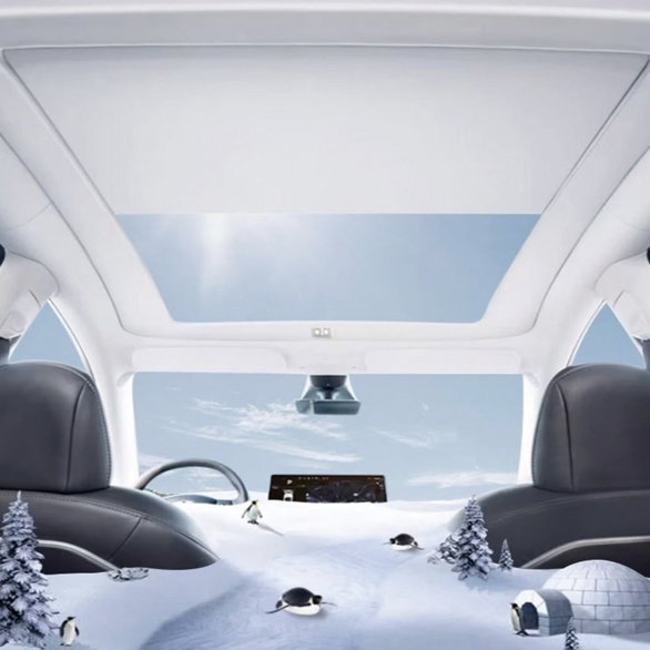 Tesla Model Y Electrical Roof Sunshade